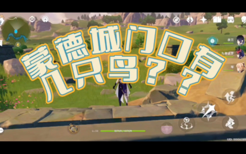 原神蒙德城门口有几只鸟