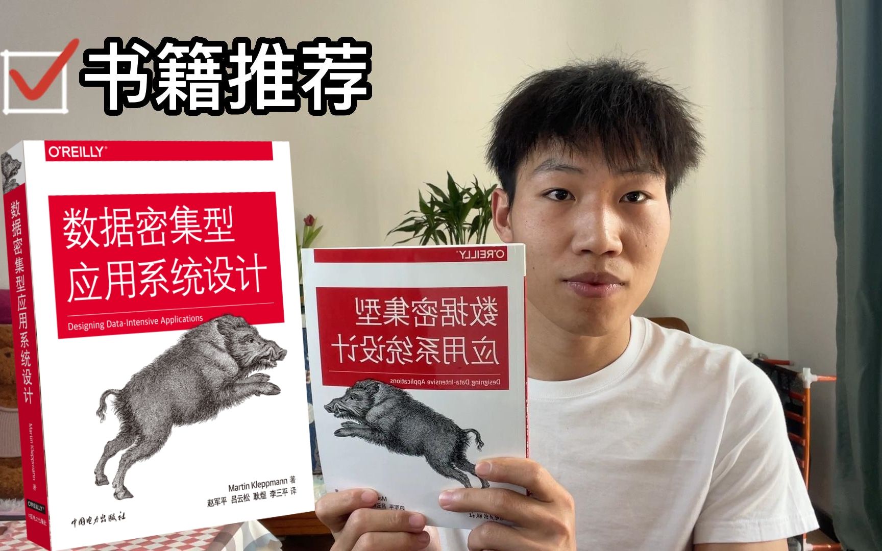 书籍推荐《数据密集型应用系统设计》