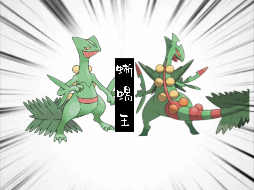 宝可梦"大型"纪录片——《蜥蜴王》