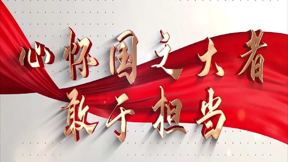 片段三:心怀国之大者,敢于担当
