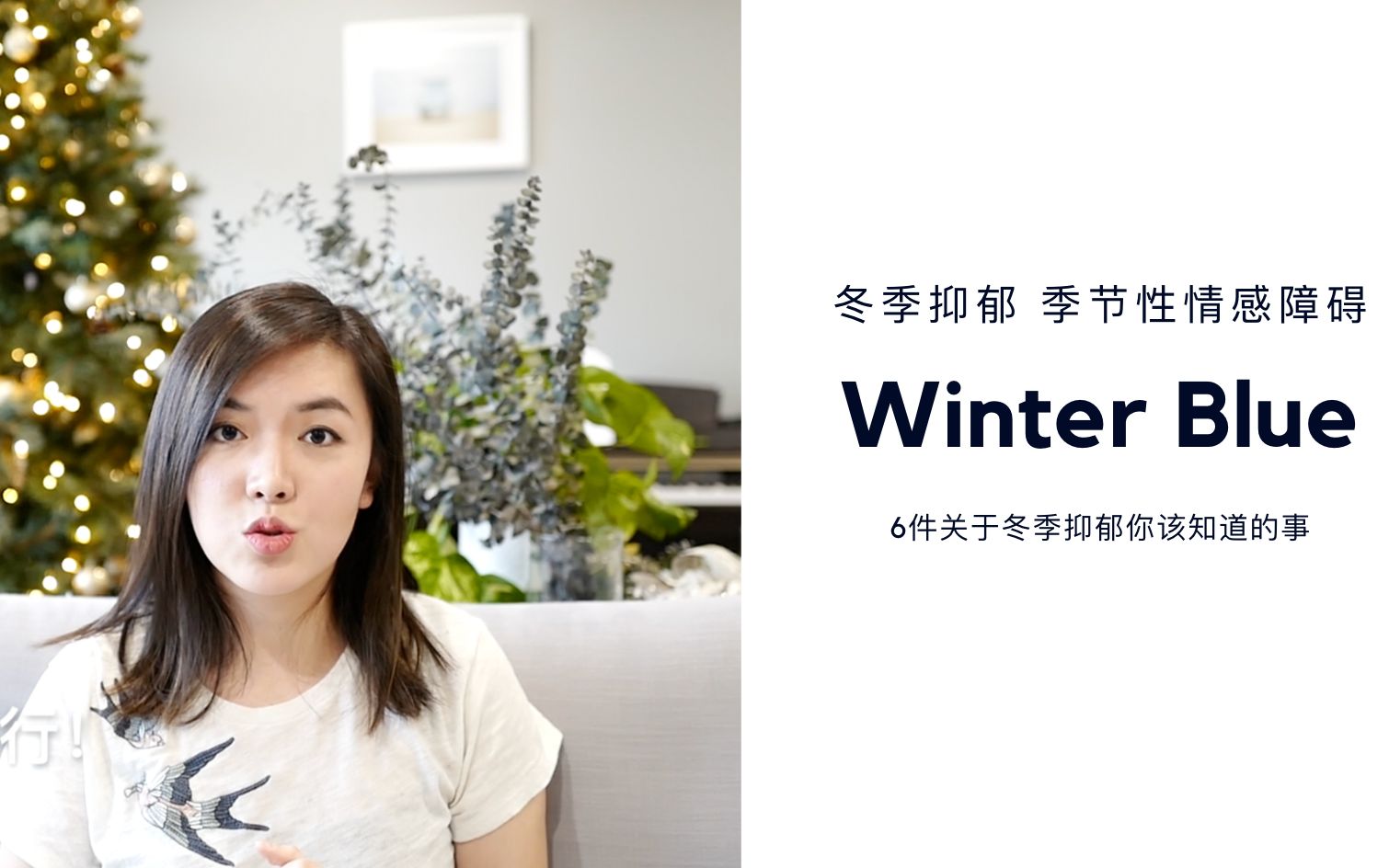 冬季抑郁 (季节性情感障碍)你需要知道的六件事 How to Overcome Seasonal Affective Disorder (SAD)哔哩哔哩bilibili