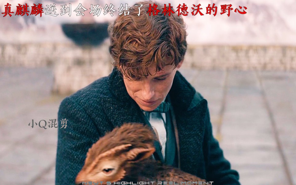 欣赏来自神奇动物学家纽特的高光瞬间