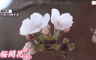 五轮花 搜索结果 哔哩哔哩 Bilibili