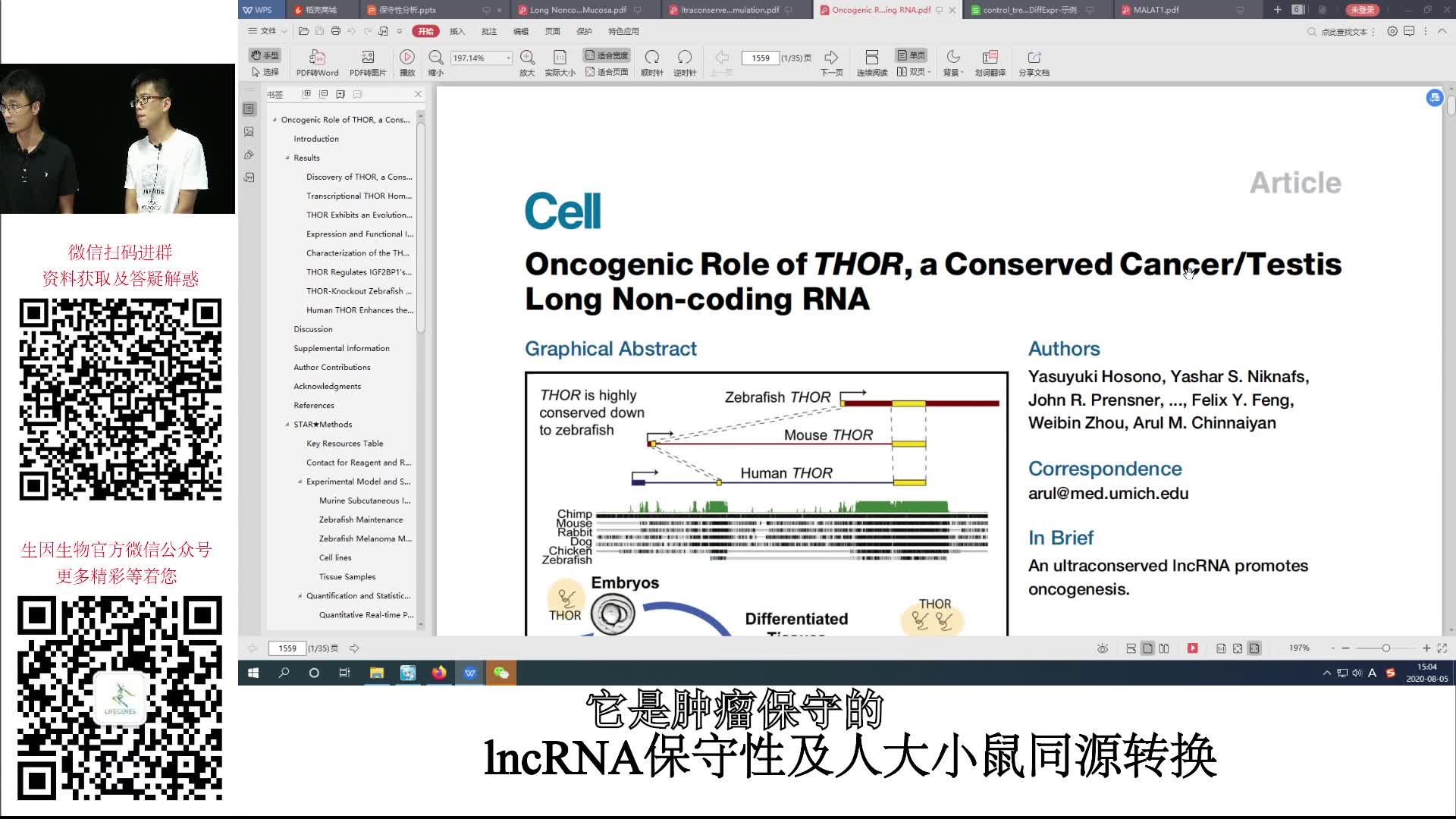 lncRNA保守性及人大小鼠同源转换哔哩哔哩bilibili