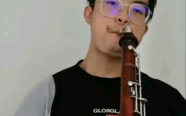 稀有的双簧管家族乐器Heckelphone 赫格管哔哩哔哩bilibili