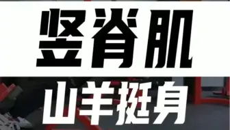 竖脊肌如何训练？
