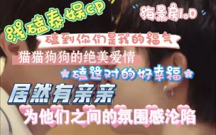 Tải video: 【海景房ZeeNuNew reaction】你们xql好吓人 给我巨大震撼 泰娱都是这样的吗 好好磕 永远在一起