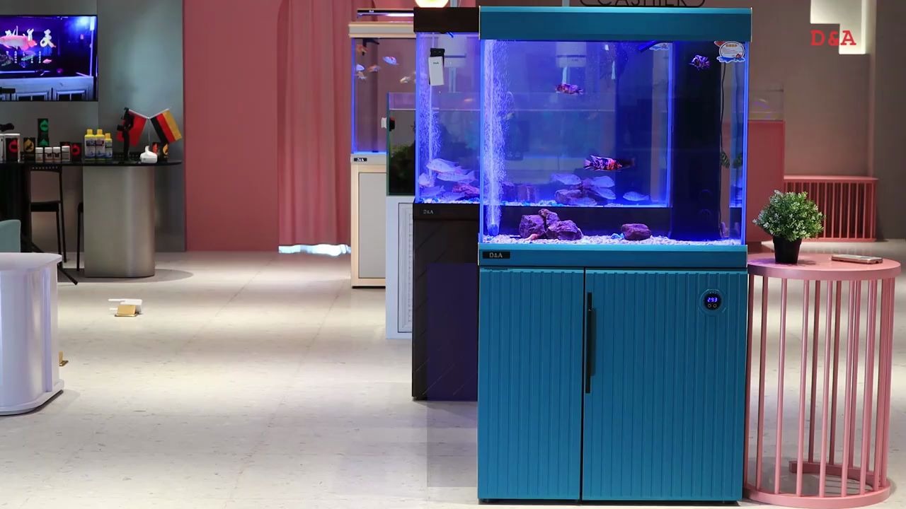 德克鱼缸莫奈系列来了_哔哩哔哩 (゜-゜)つロ 干杯~-bilibili