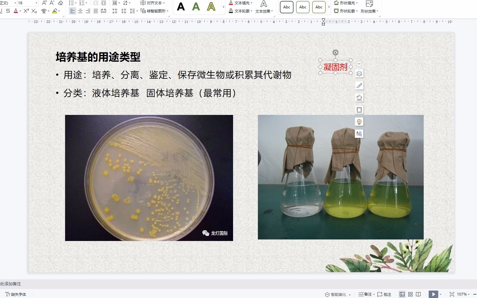 【辽宁新高考生物选择性必修三】第一章第二节微生物的培养技术及应用(上)哔哩哔哩bilibili