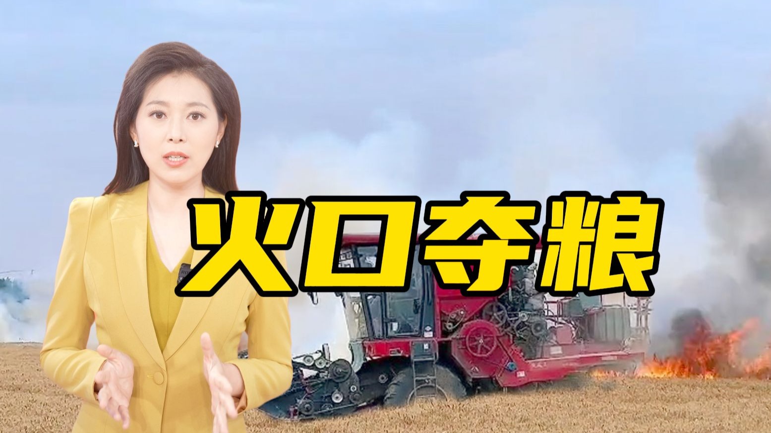 冲进火海抢收麦子！他获“见义勇为”称号【主播说三农】
