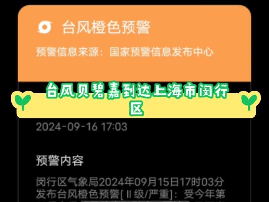 台风贝碧嘉到达上海市闵行区哔哩哔哩bilibili