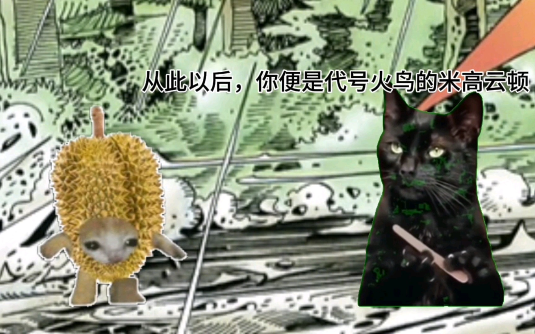 基头四,但是猫meme【下】