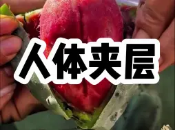 Download Video: 【小说】我制作了一张特殊的床，能让我藏进夹层中不被发现。每当夜晚来临，我心爱的女人就会躺在我的身上。