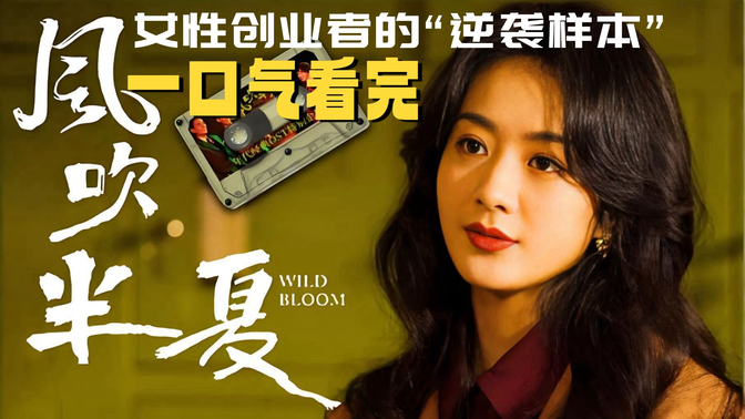 一口气看完《风吹半夏》2022高分商战剧,看赵丽颖是如何打一场艰难的翻身仗! 一口气看完《风吹半夏》2022高分商战剧,看赵丽颖是如何打一场艰难的翻身仗!