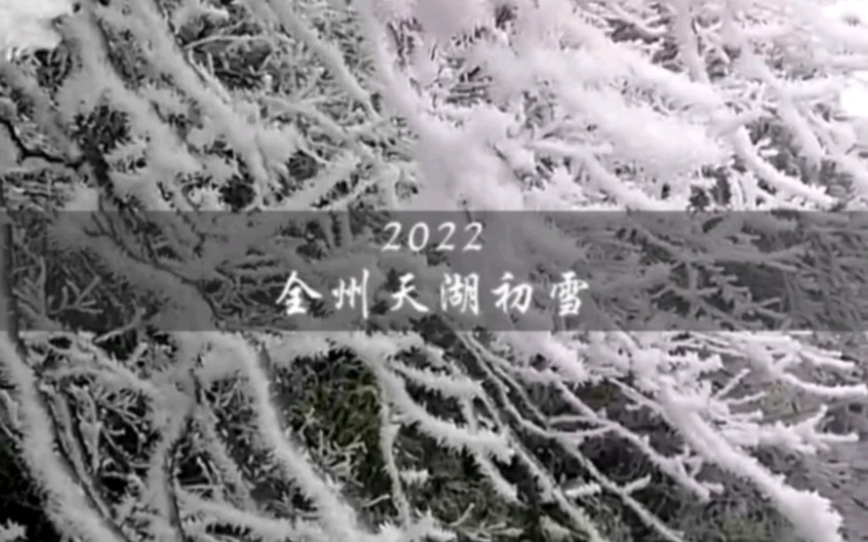 广西桂林下雪啦,桂林全州天湖2022的第一场雪,南方孩子再也不用羡慕北方的大雪了哔哩哔哩bilibili