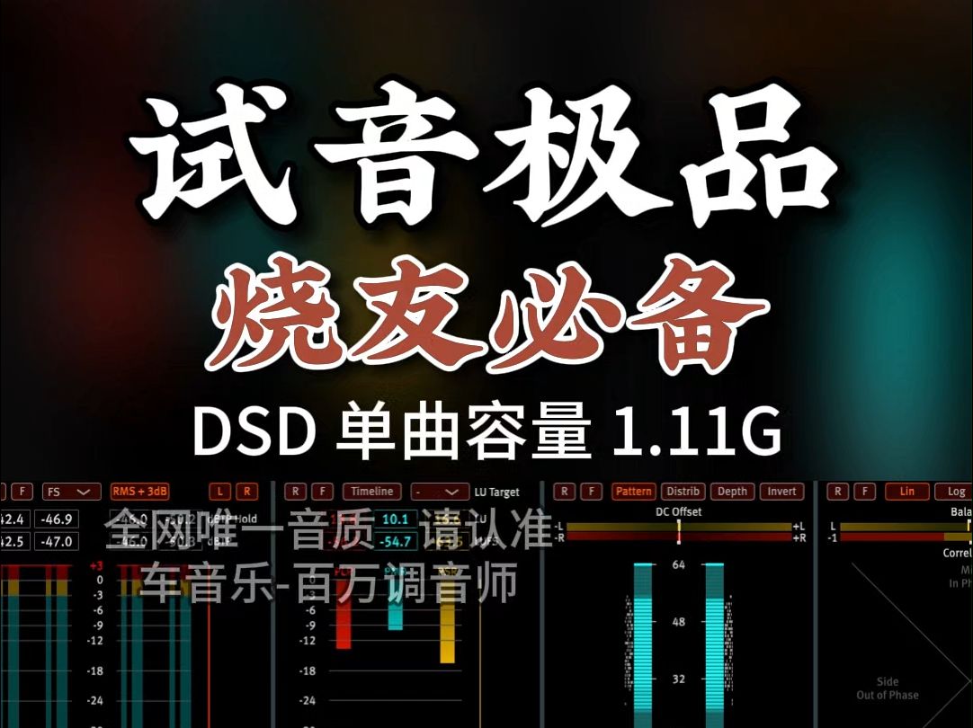 [图]发烧友必备，试音极品，DSD完整版1.11G，百万调音师专业录音棚制作，顶级hifi无损音质