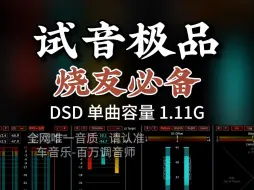 下载视频: 发烧友必备，试音极品，DSD完整版1.11G，百万调音师专业录音棚制作，顶级hifi无损音质