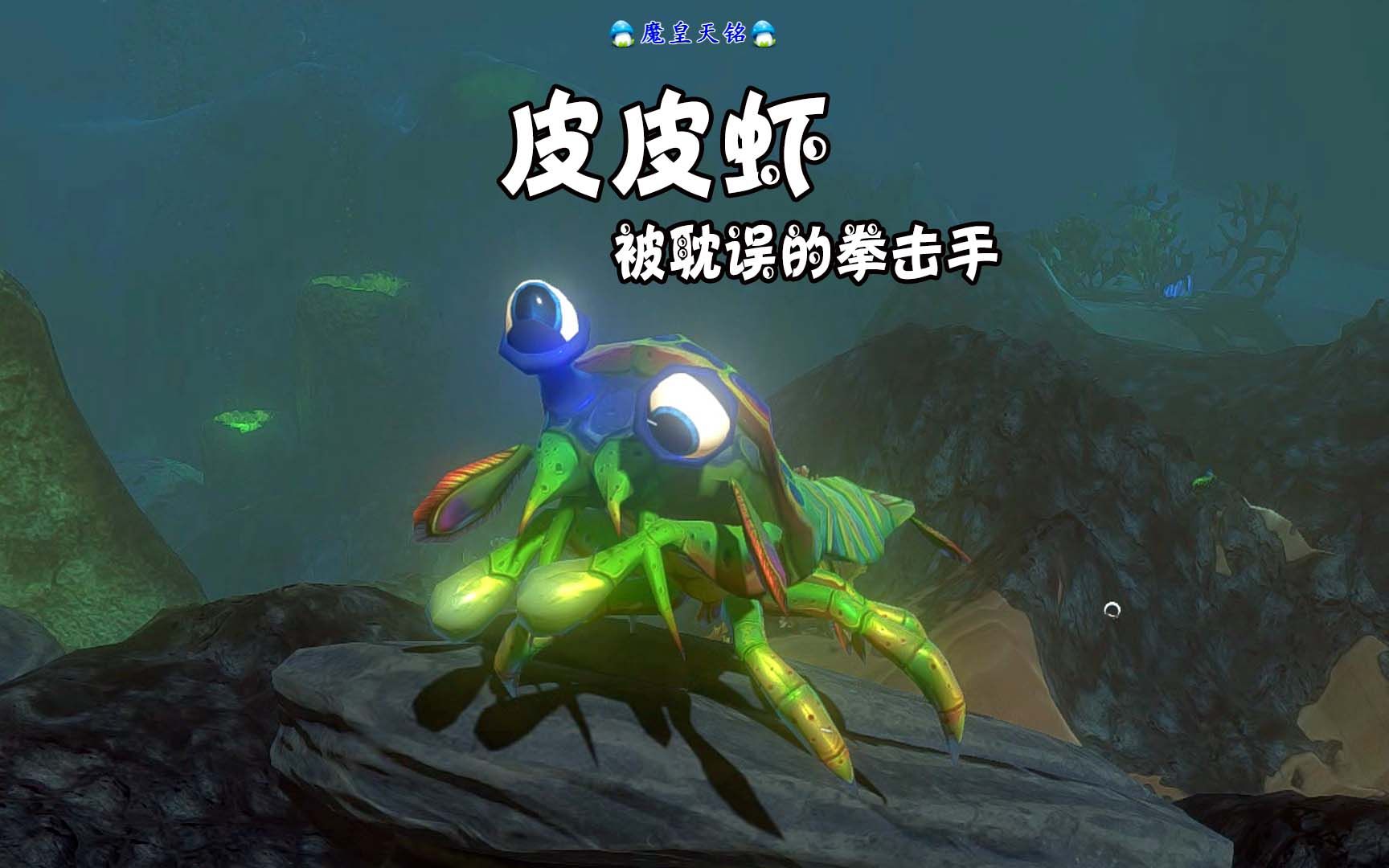 天铭 海底大猎杀 第三季 05 皮皮虾小锤锤,勇锤海洋三巨头!