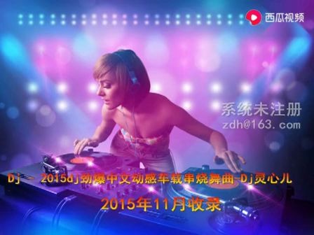 [图]Dj - 2015dj劲爆中文动感车载串烧舞曲Dj灵心儿