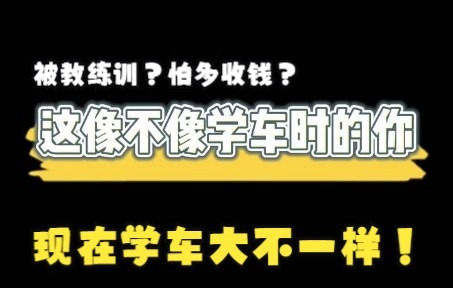 这像不像学车时的你?2021年驾校报名学车大变样!哔哩哔哩bilibili