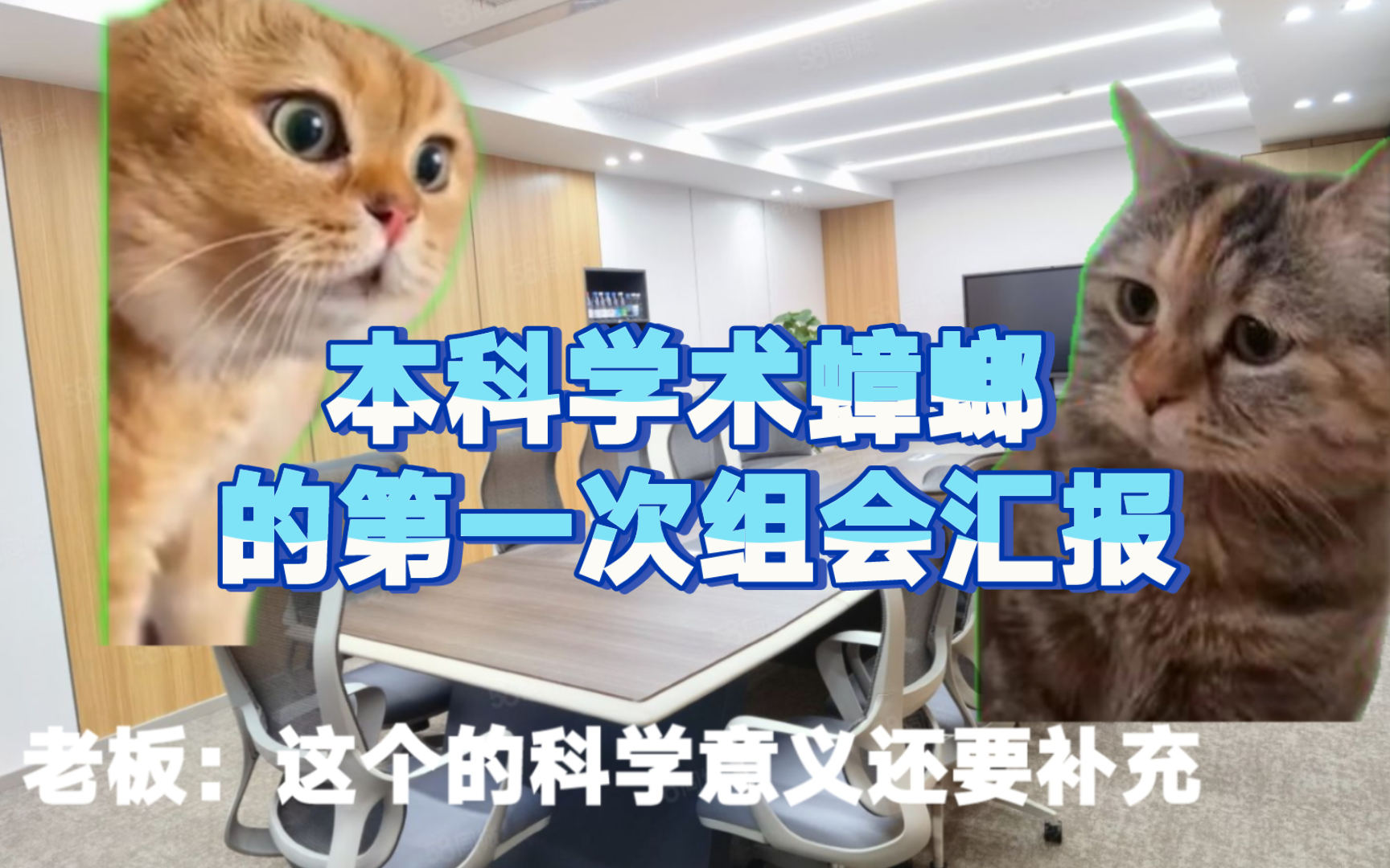 【猫meme】当本科学术蟑螂第一次上组会汇报