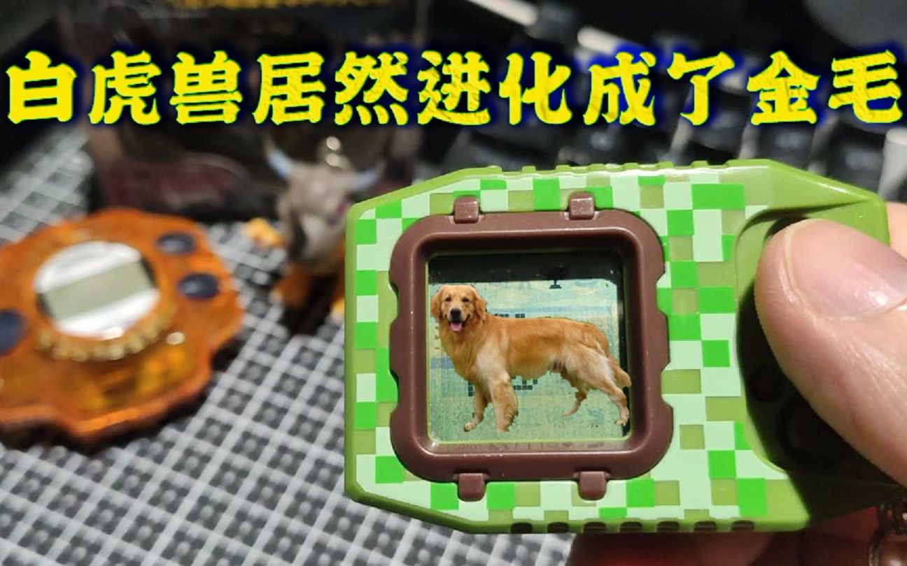 【数码宝贝】超龙z1用一只金毛通关了(章鱼玩)_哔哩哔哩_bilibili