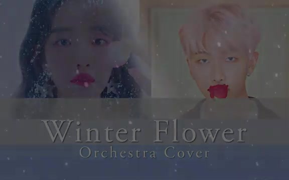 [图]RM Winter Flower 雪中梅 管弦乐版