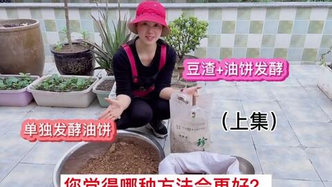 为了种瓜种豆的肥料 今天来自制有机肥 花生饼 菜园废物 猛料有机肥 哔哩哔哩 Bilibili