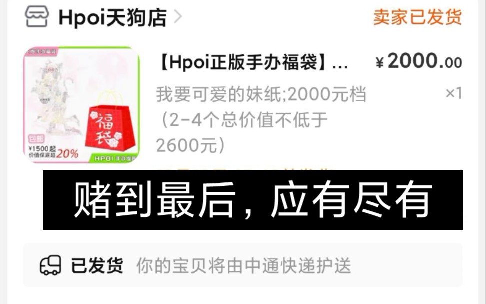 【福袋开箱】Hpoi双十二2000元手办福袋哔哩哔哩bilibili