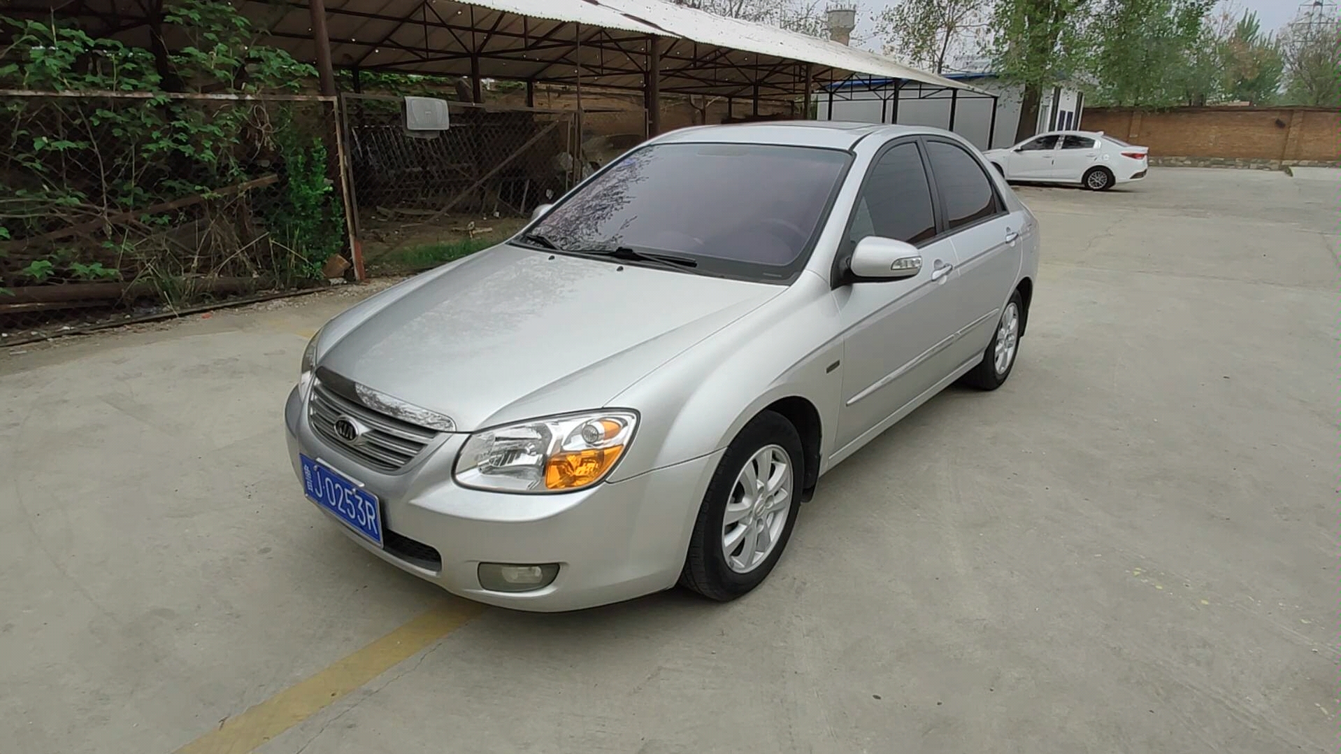 2008年的赛拉图,老当益壮