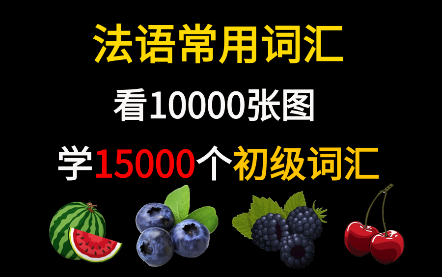 【法语单词】睡前15分钟,看图就能学2000个初级单词!中法翻译 | 词汇分类 | 法语入门哔哩哔哩bilibili