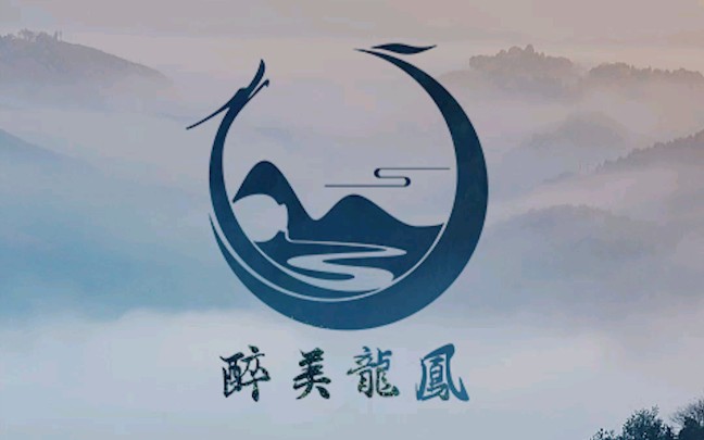 这是我做过要求最多的logo哔哩哔哩bilibili