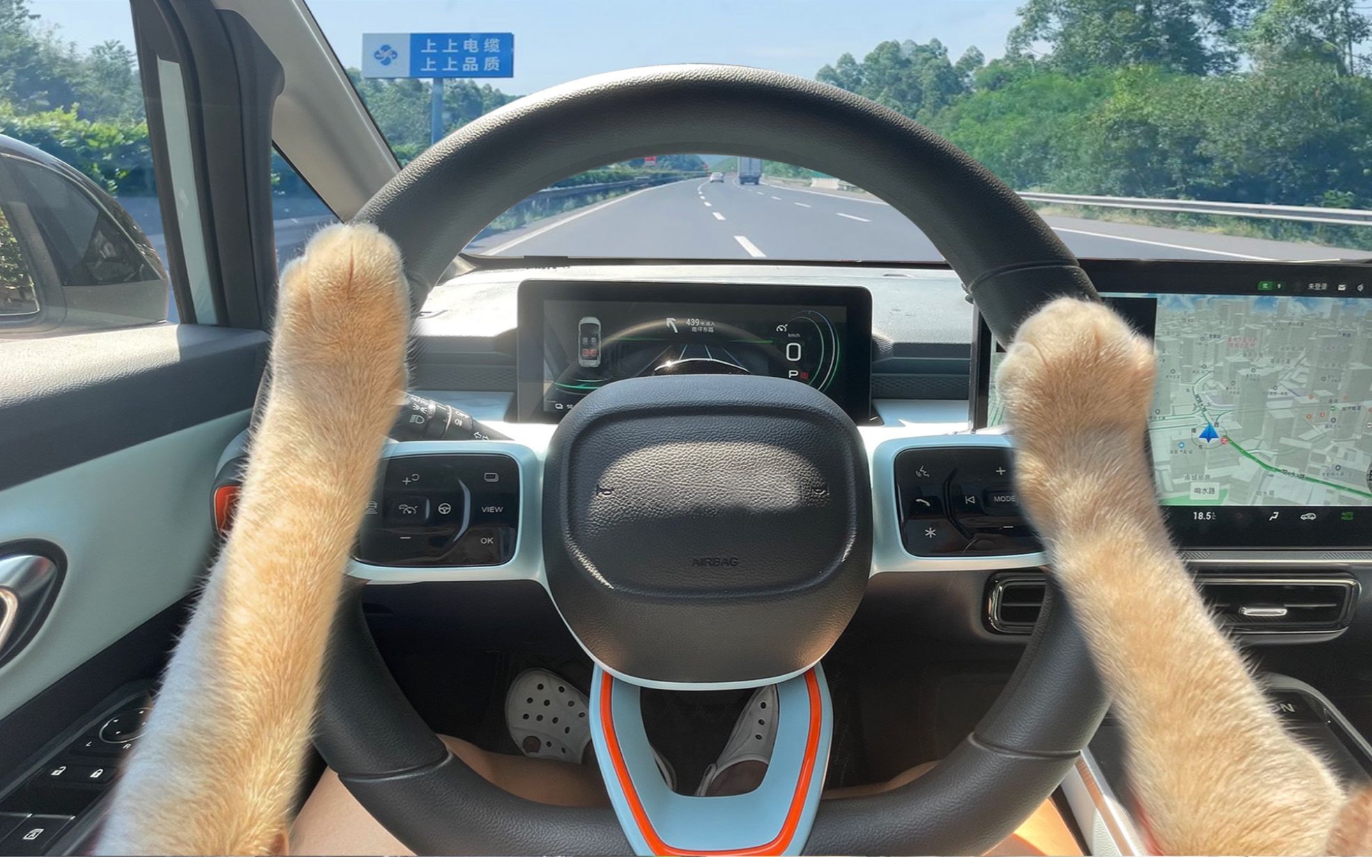 带猫开车上高速!这次!我们一定要一雪前耻!_哔哩哔哩_bilibili