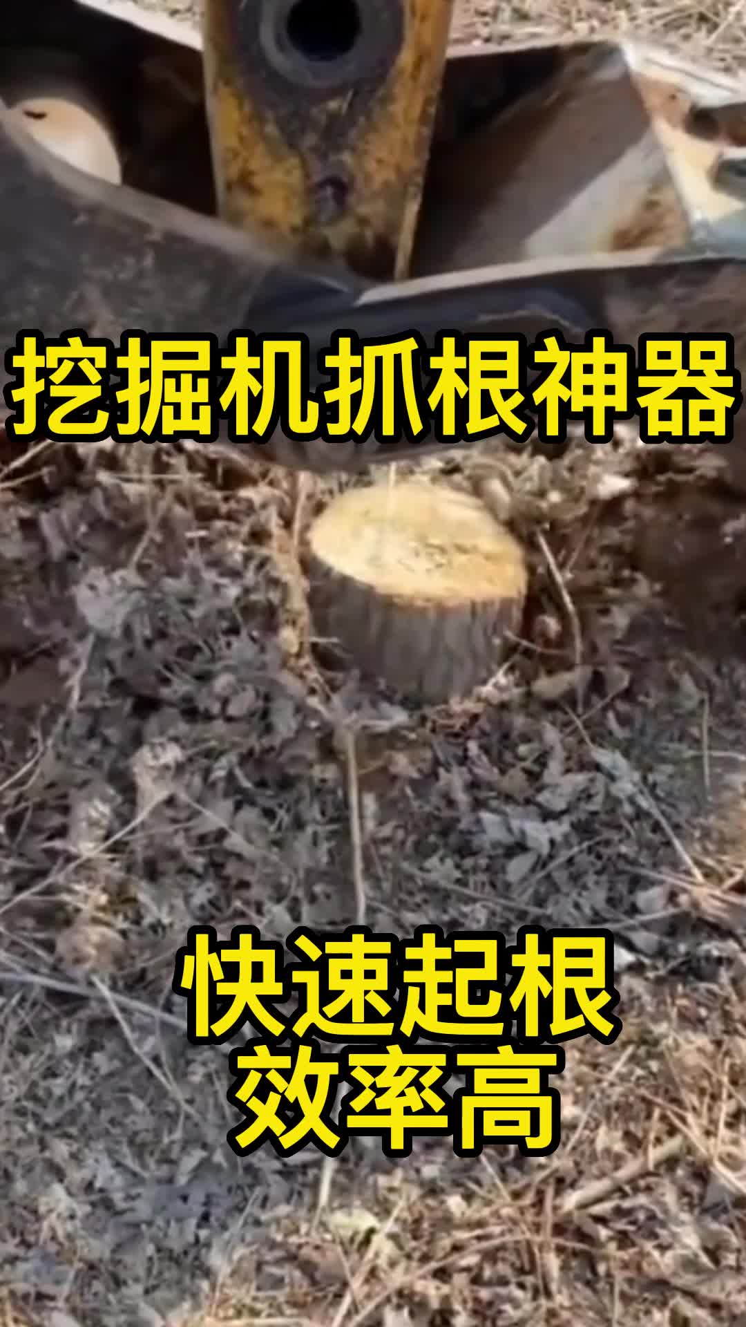 石缝里挖树桩技巧图片