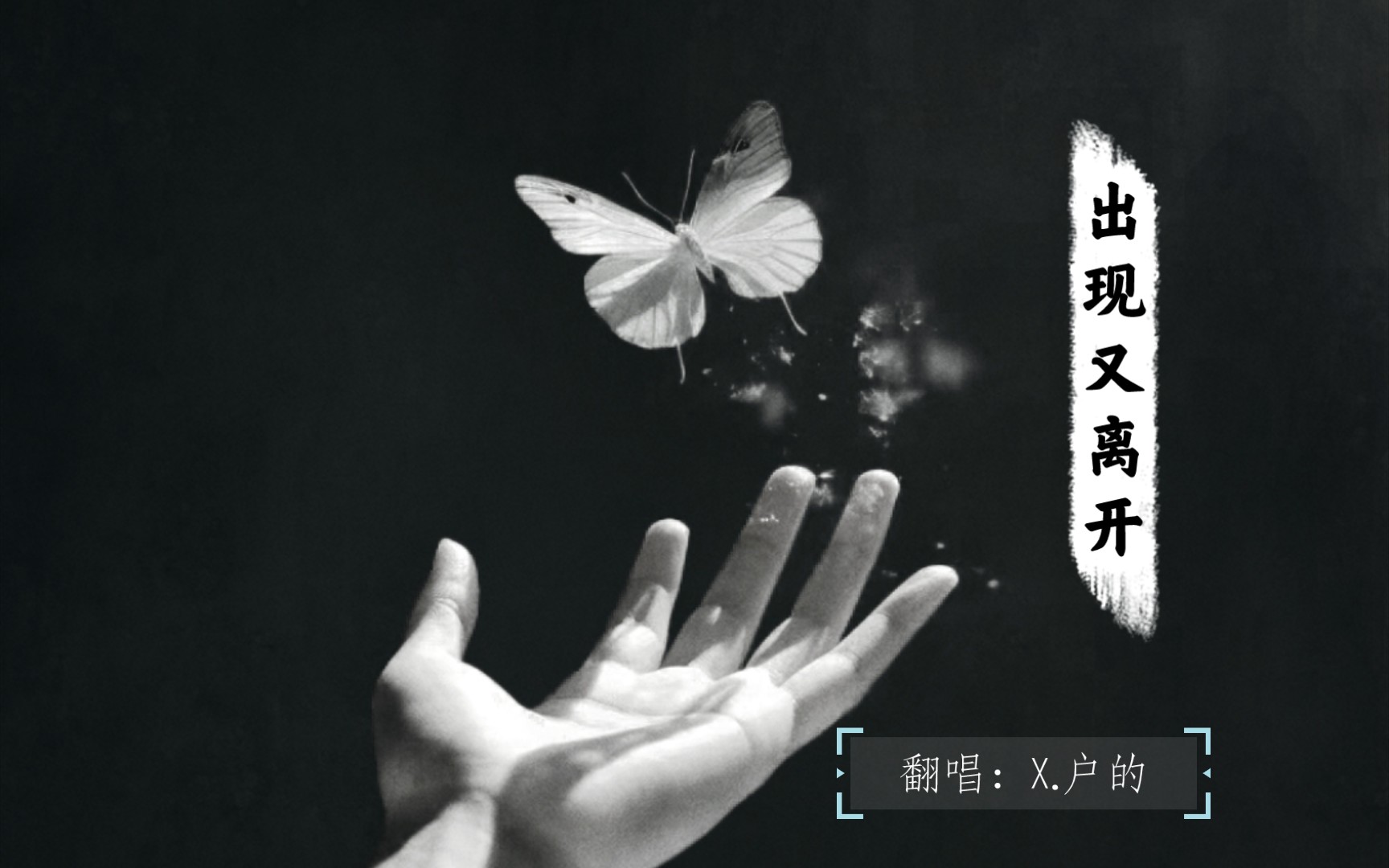 凌音阁x.户的翻唱《出现又离开》 (淋雨小狗好痛)