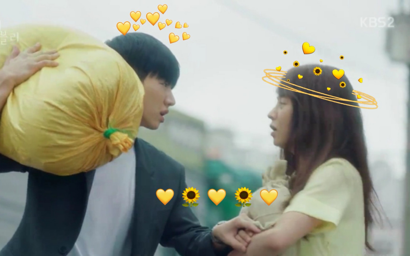 【宋智孝x李起光】可爱恐惧-向日葵cp可爱高甜片段 part3