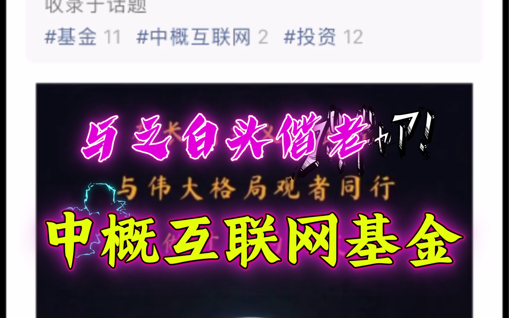 一只我想与之“白头偕老”的中概互联网行业基金……投资有风险,入市需谨慎!哔哩哔哩bilibili