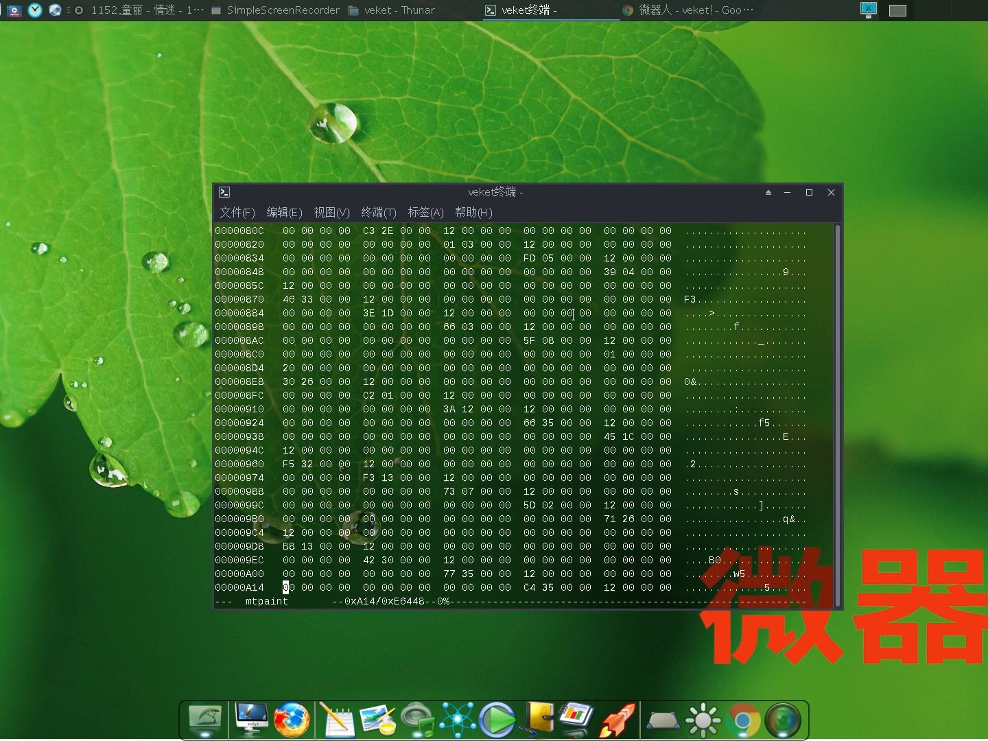 十六进制编辑器hexedit,有windows和linux版本,但对于这样的命令行十六进制编辑器不知道怎么用哔哩哔哩bilibili