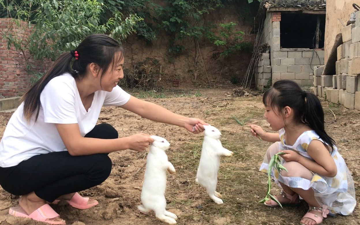 家里的两只兔子出笼了,跑的贼快,小侄女又怕又喜欢哔哩哔哩bilibili