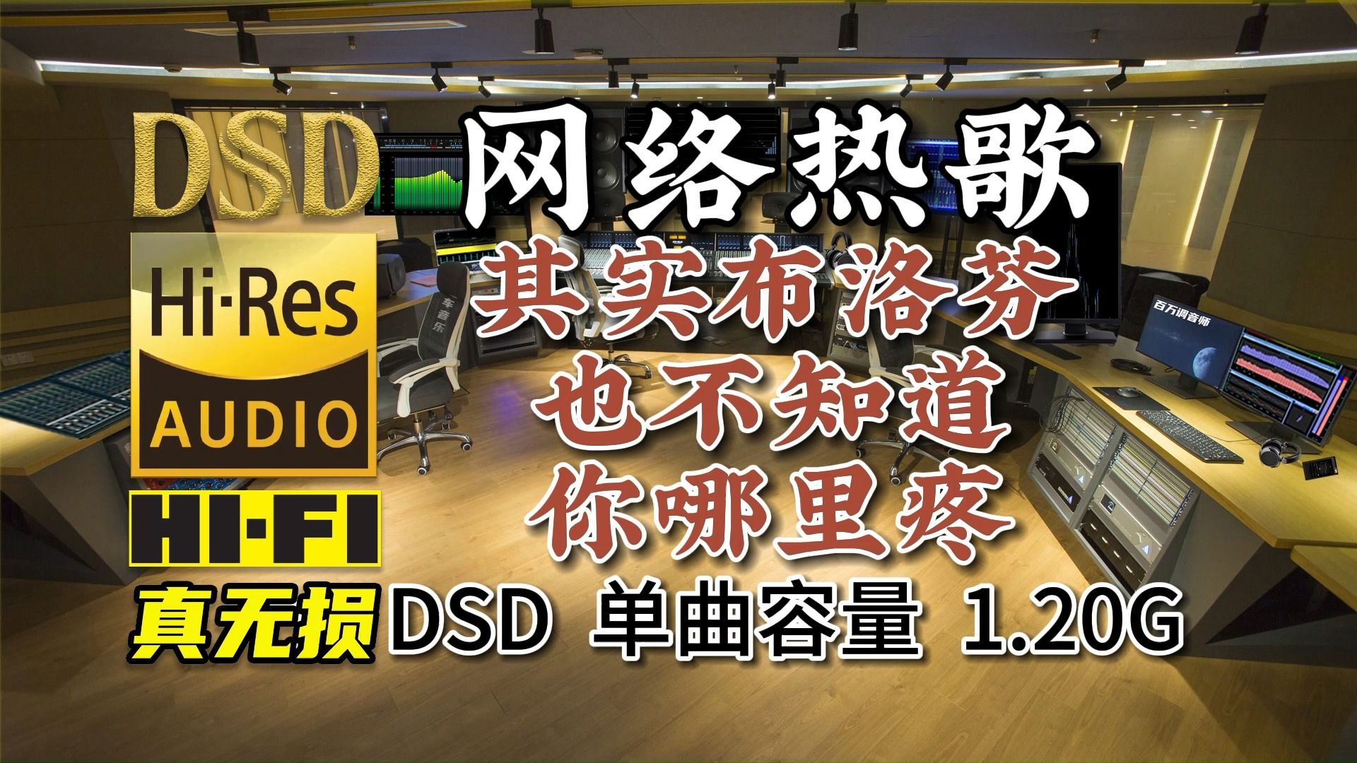 [图]网络流行热歌，其实布洛芬也不知道你哪里疼，DSD完整版，单曲1.20G，百万调音师专业制作，顶级无损HIFI音质