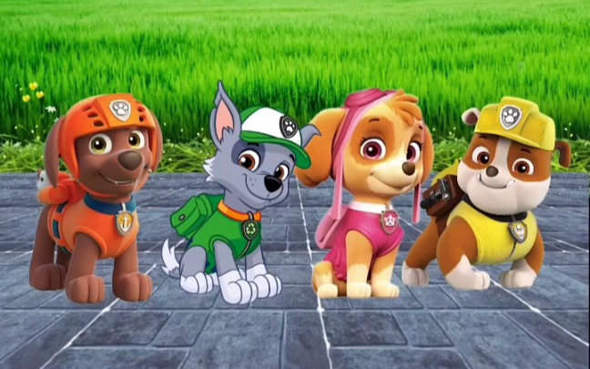 给汪汪队发奥特曼