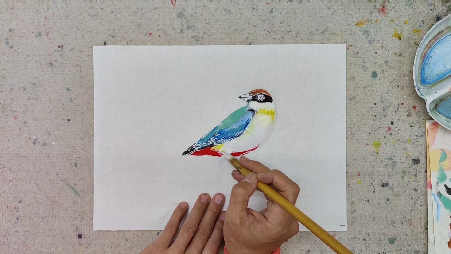 仙八色鸫国画小写意