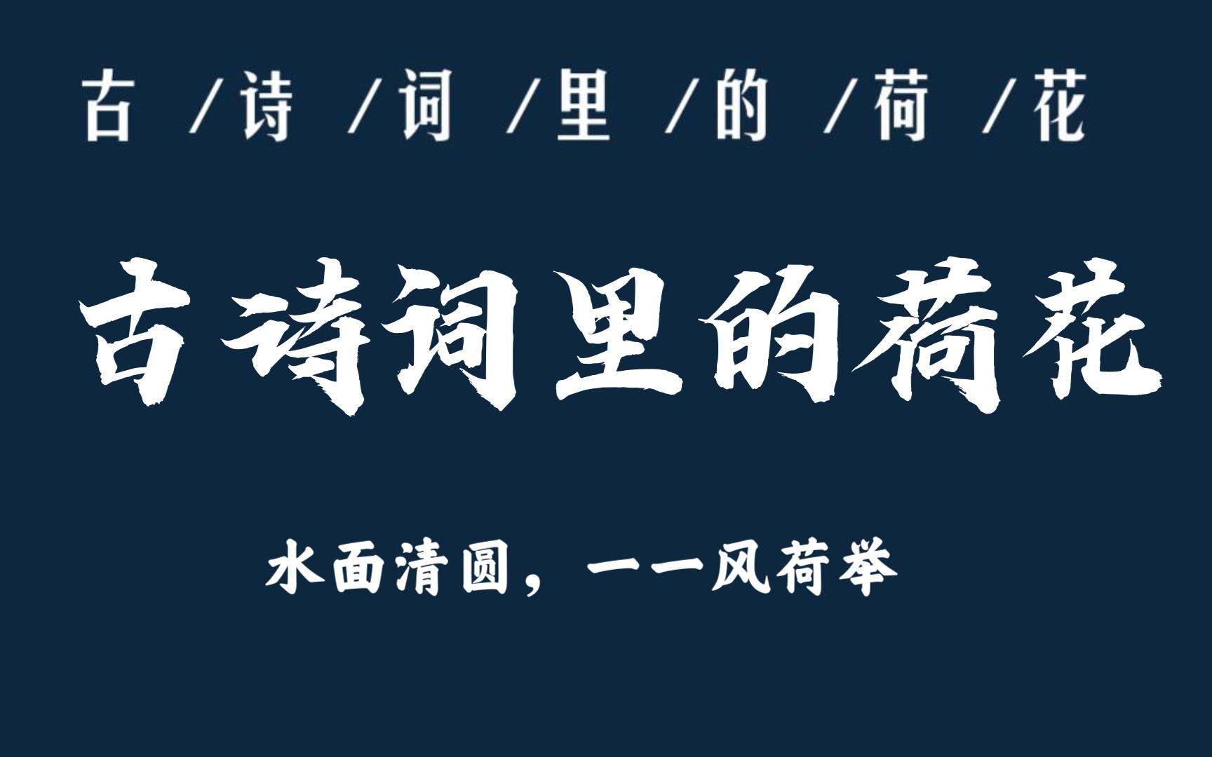 “水面清圆,一一风荷举”| 古诗词里的荷花哔哩哔哩bilibili