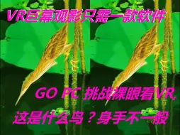 Download Video: 【裸眼VR】拥有VR巨幕其实很容易