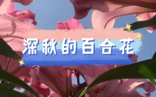 Descargar video: 多品种百合花欣赏，当时忘记拍具体品种名了。春秋都可以种，主要看你那边的气候，如果是云南，没准四季都可以种。