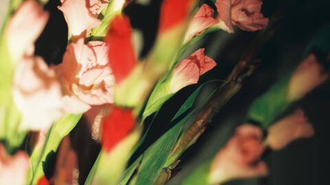 中孝介 花 改译自己中文填词带原唱 哔哩哔哩 Bilibili