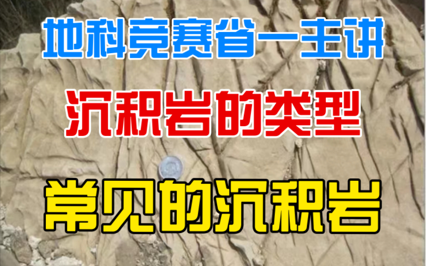 【地科简明通识】沉积岩的类型与常见的沉积岩哔哩哔哩bilibili