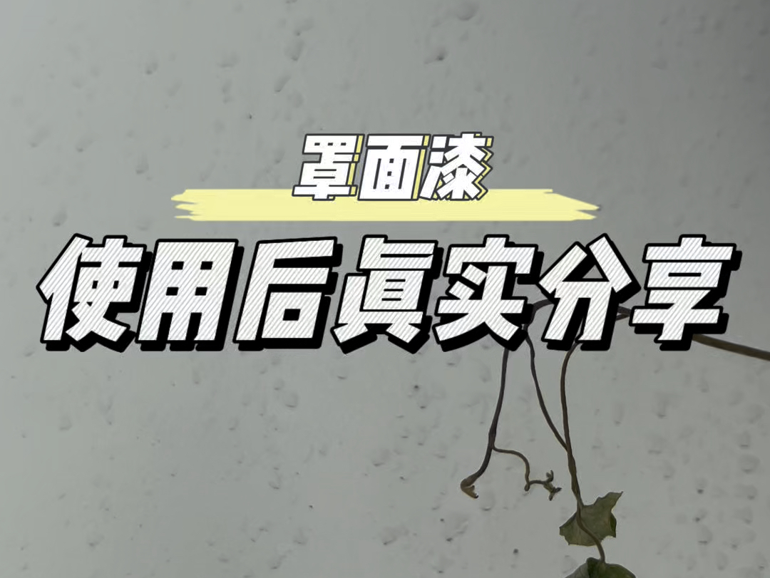 罩面漆刷了一年了,使用下来真不错,像我这样擦洗都不会掉漆刮花,你们可以放心购买了哔哩哔哩bilibili