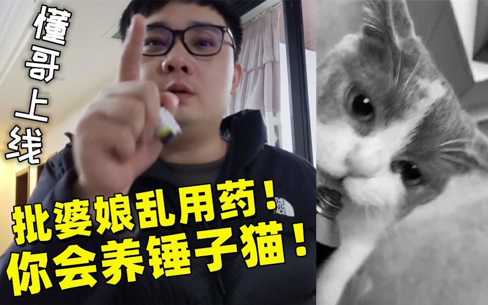 猫被企业级药害死?李老八化身懂哥斥责冯雪娟!哔哩哔哩bilibili