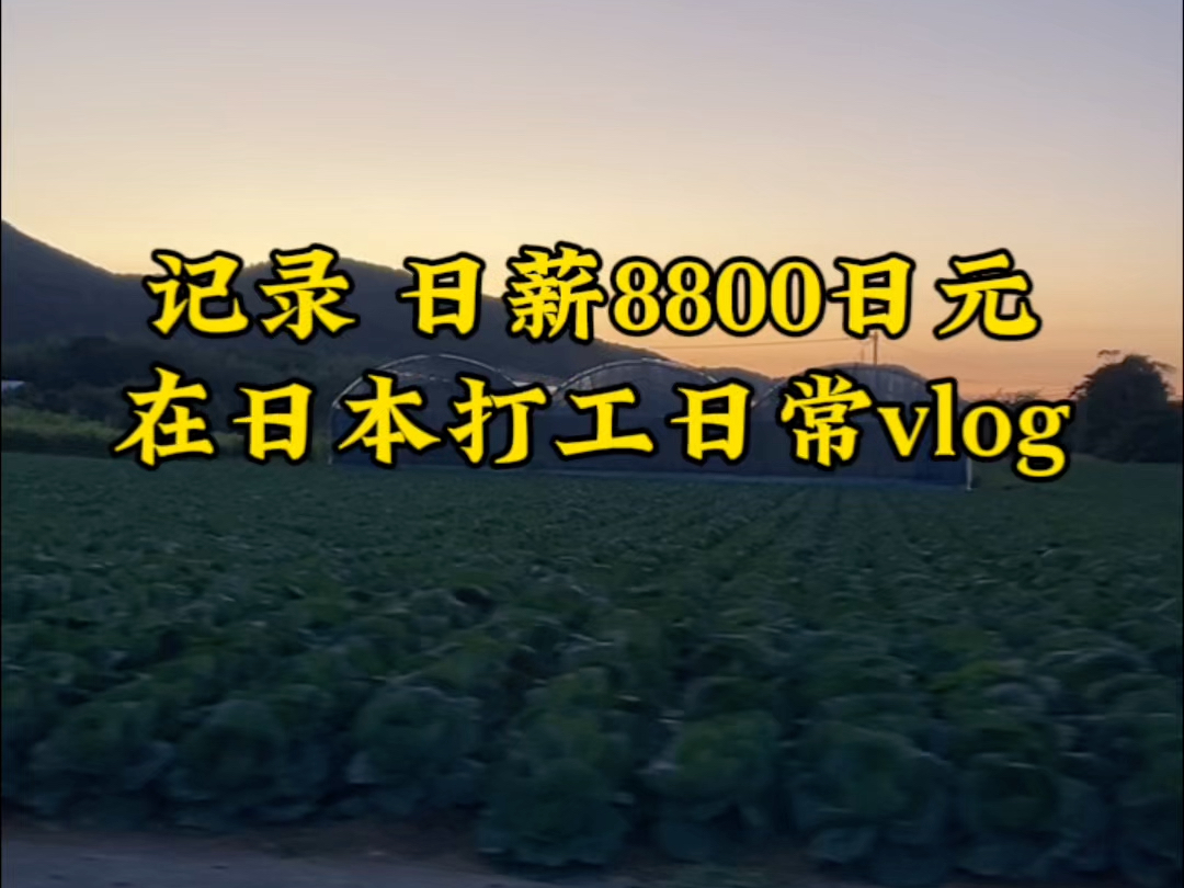 记录97年中专生在日本打工下班日常vlog,现在时薪1100日元,,按4.6暴跌汇率算一天还能赚400块,慢慢熬日子吧~哔哩哔哩bilibili